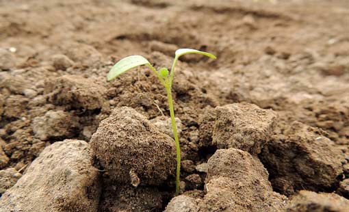 فلسفة التأثير التكويني للذنوب